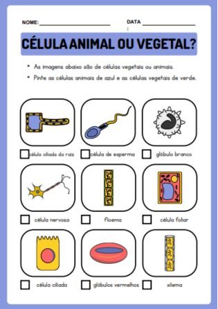 Célula animal ou vegetal - Atividades de Citologia