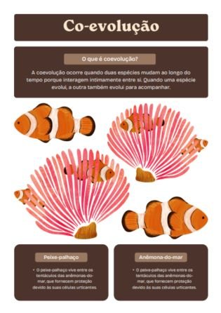 Co-evolução - Atividade de evolução