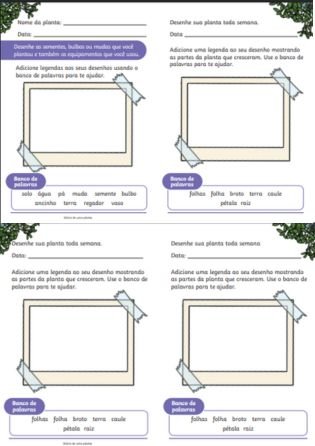 Diário das planatas - Atividades de Botânica