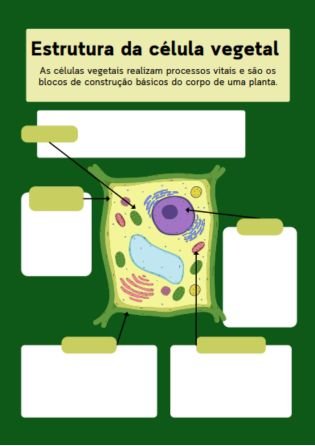 Estrutura da célula vegetal 2 - Atividades de Citologia