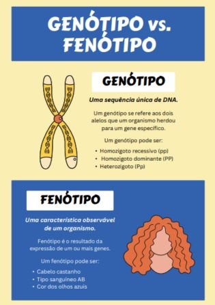 Genótipo vs fenótipo - atividade de genética