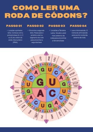 Roda de códons 1 - atividade de genética