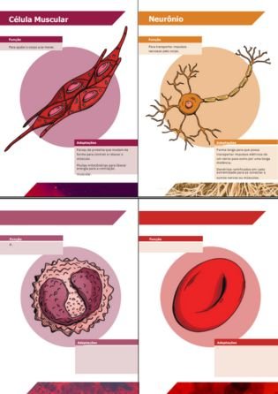 Tipos celulares Posters - Atividades de Citologia