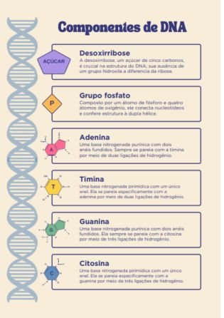 componentes do dna - atividade de genética