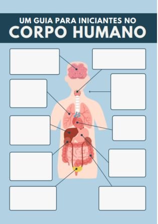 principais órgãos do corpo humano 2 - atividade de fisiologia e anatomia