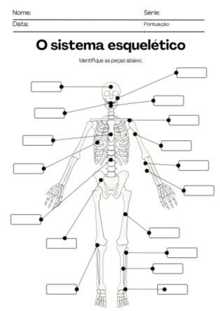 sistema esquelético - atividade de fisiologia e anatomia