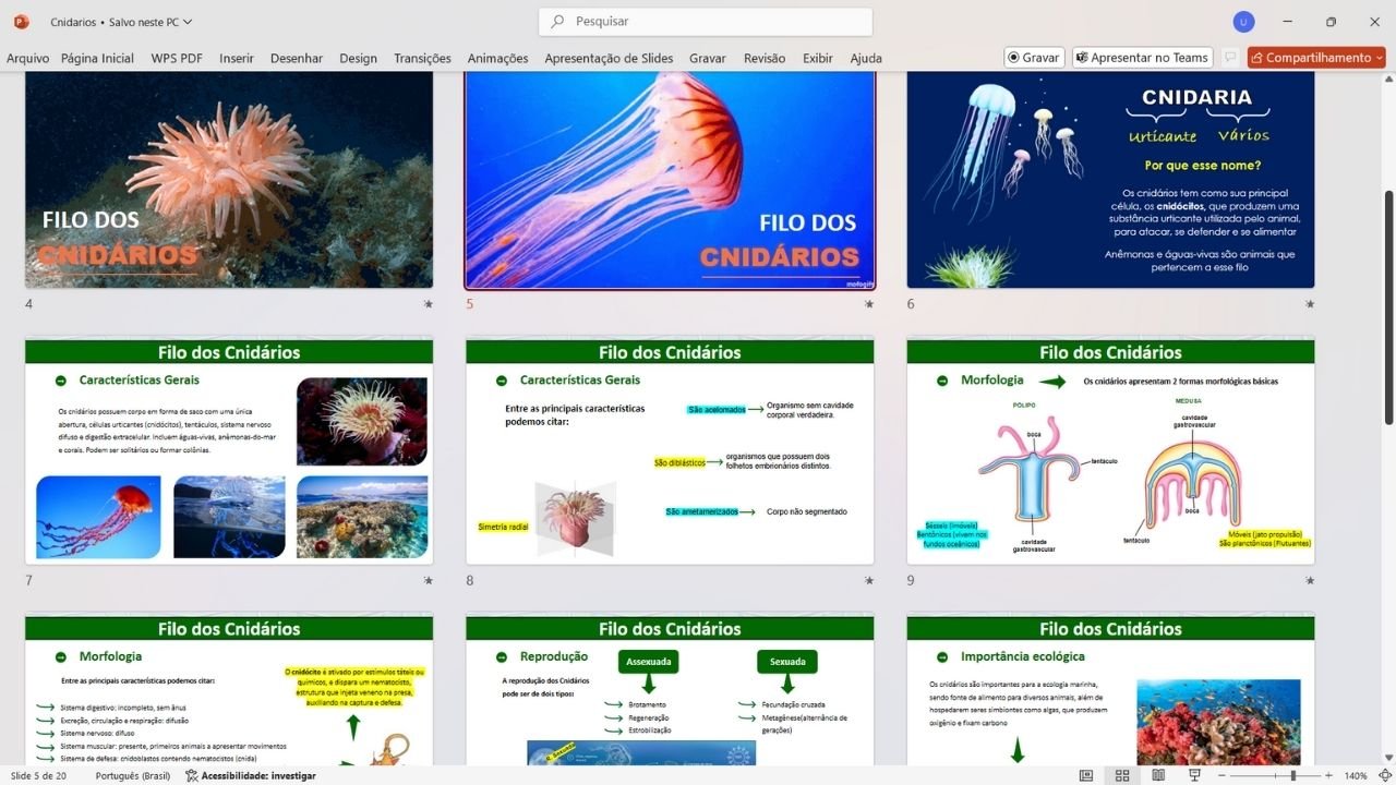 Filo dos Cnidários 2 - capa slides de biologia