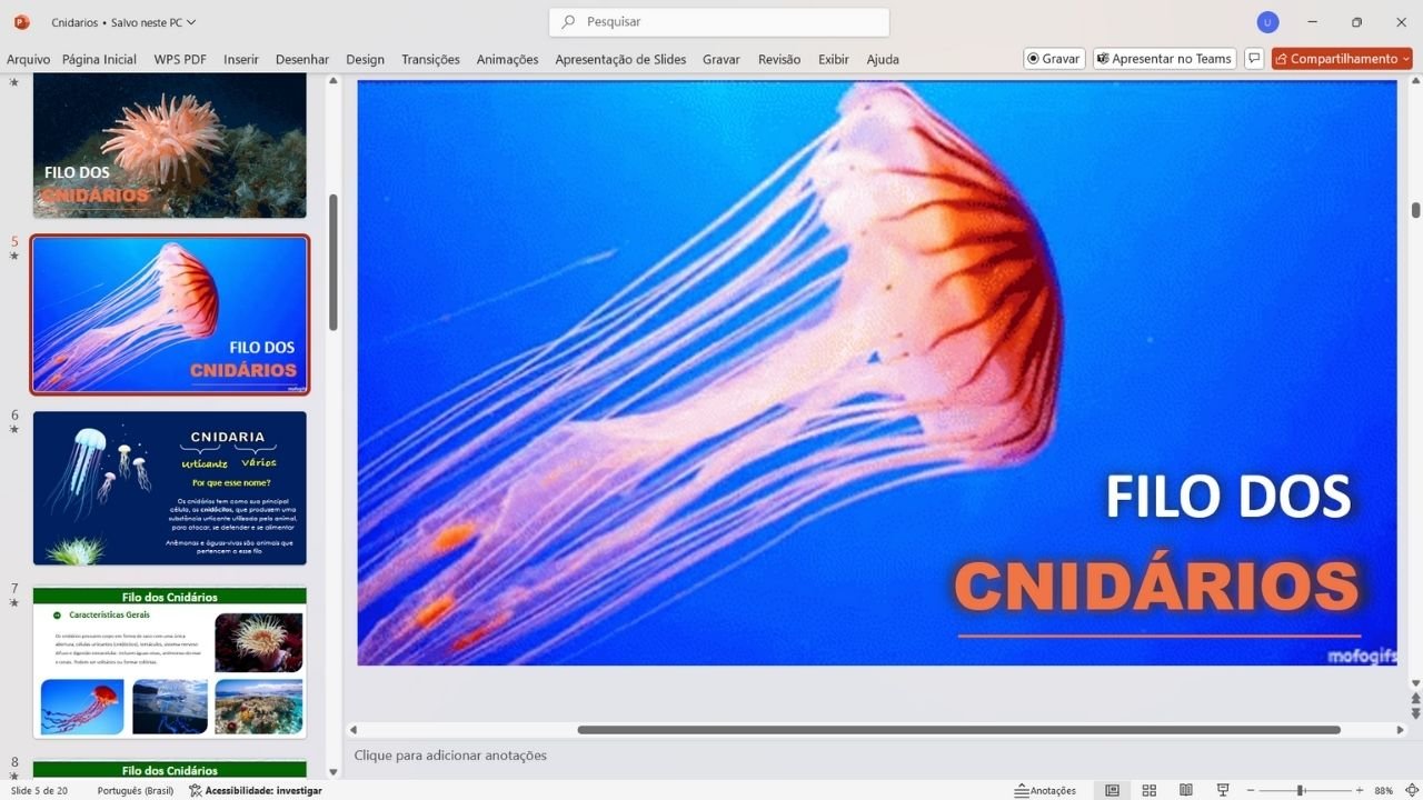 Filo dos cnidários 1 - capa slides de biologia