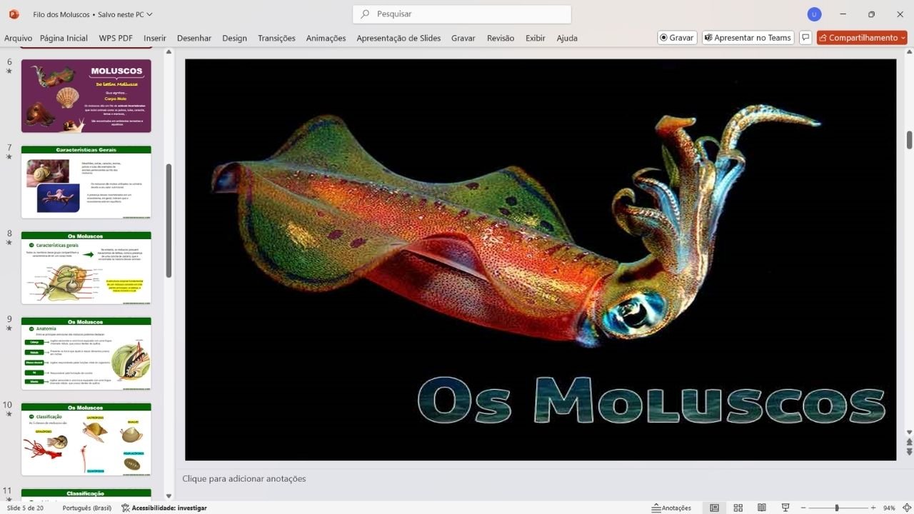 Filo dos moluscos 1 - capa slides de biologia