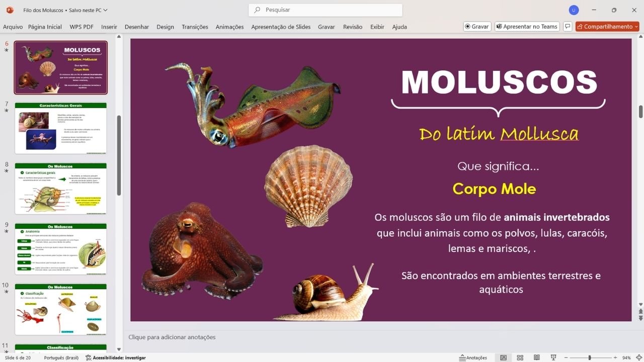Filo dos moluscos 3 - capa slides de biologia