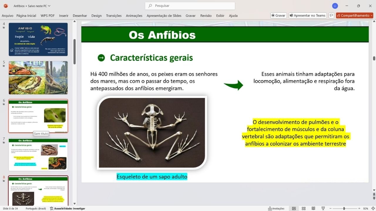 Os anfíbios 43- capa slides de biologia