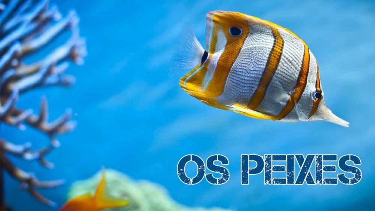 Peixes 1 - capa slides de biologia