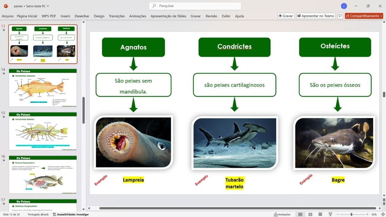 Peixes 2 - capa slides de biologia