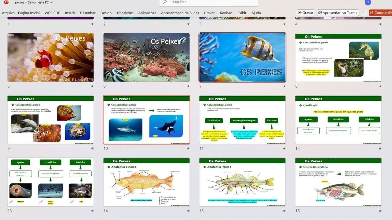 Peixes 4 - capa slides de biologia