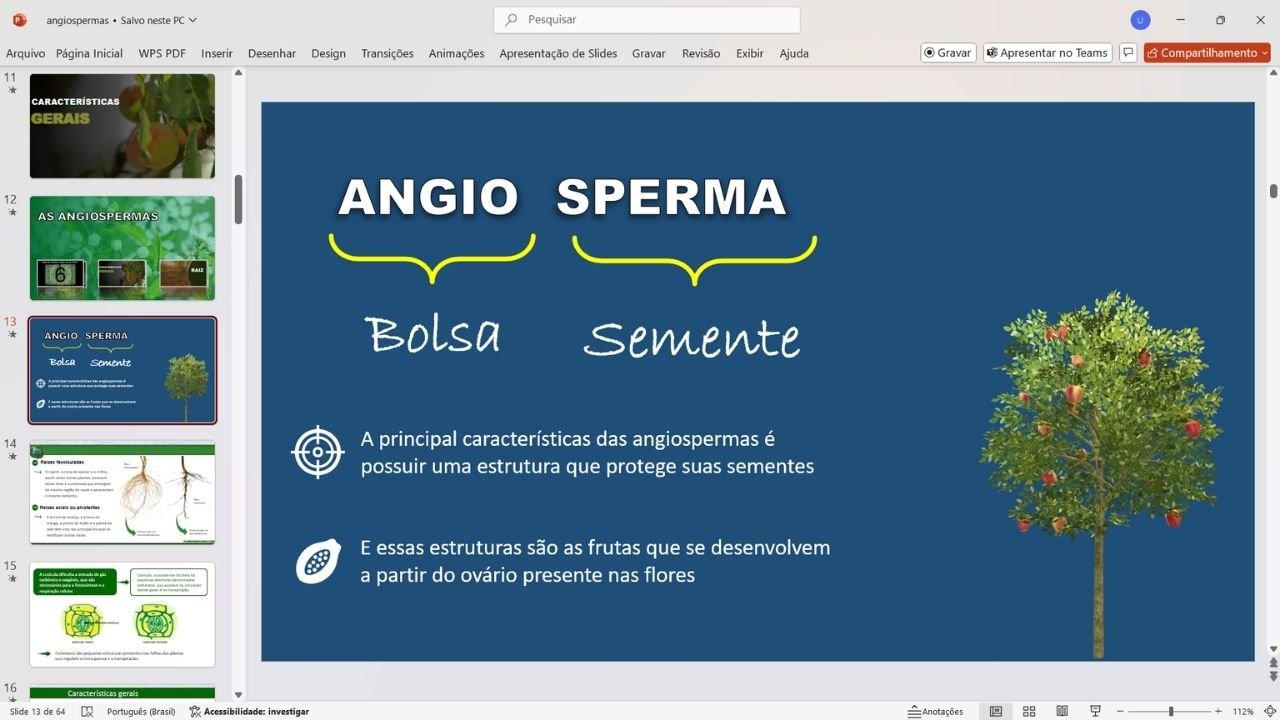 angiospermas 1 - capa slides de biologia