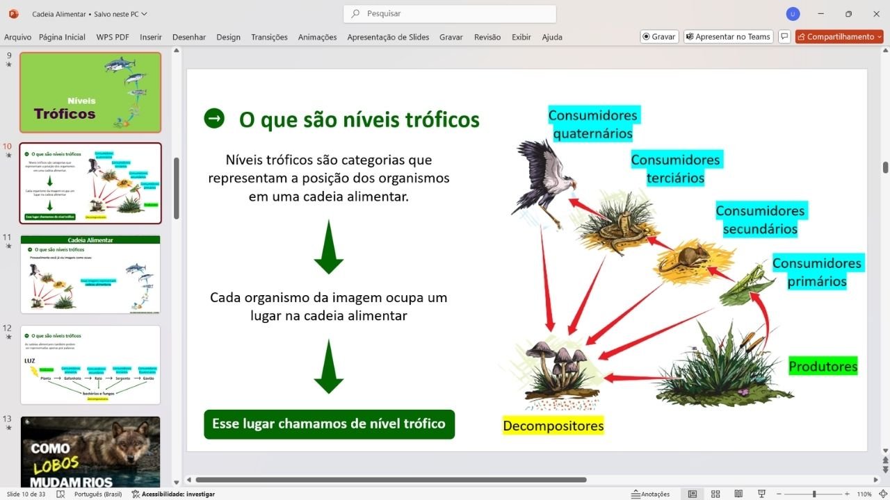 cadeia alimentar 5 - capa slides de biologia
