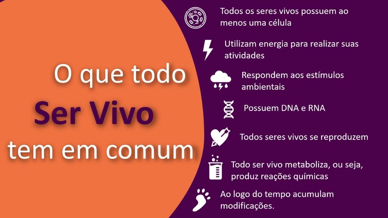 características dos seres vivos 5 - capa slides de biologia