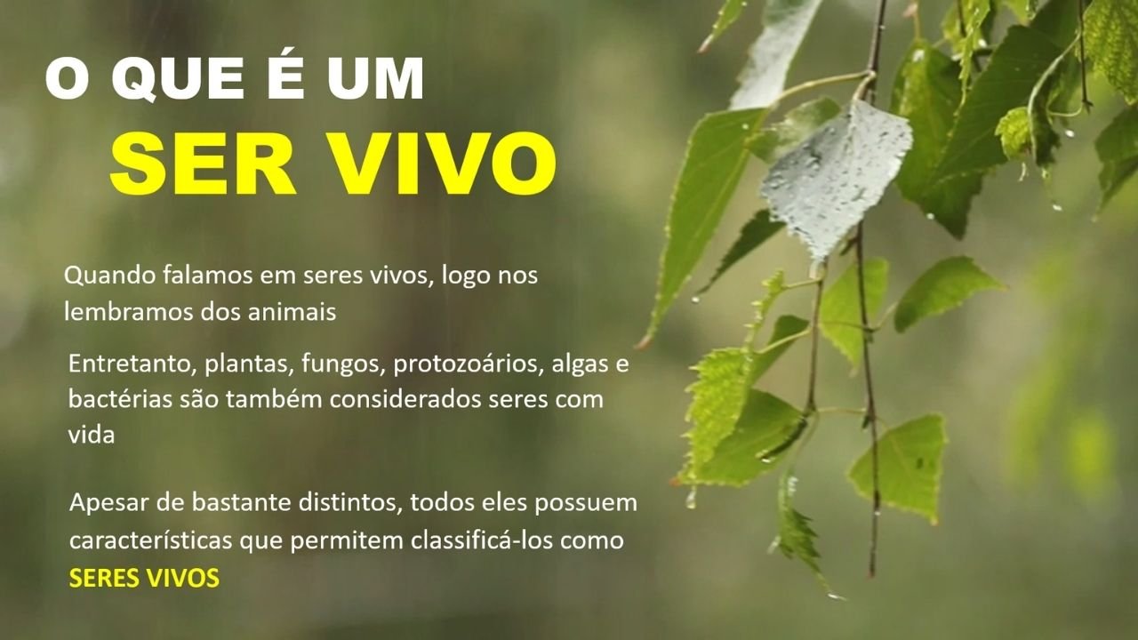 características dos seres vivos 7 - capa slides de biologia