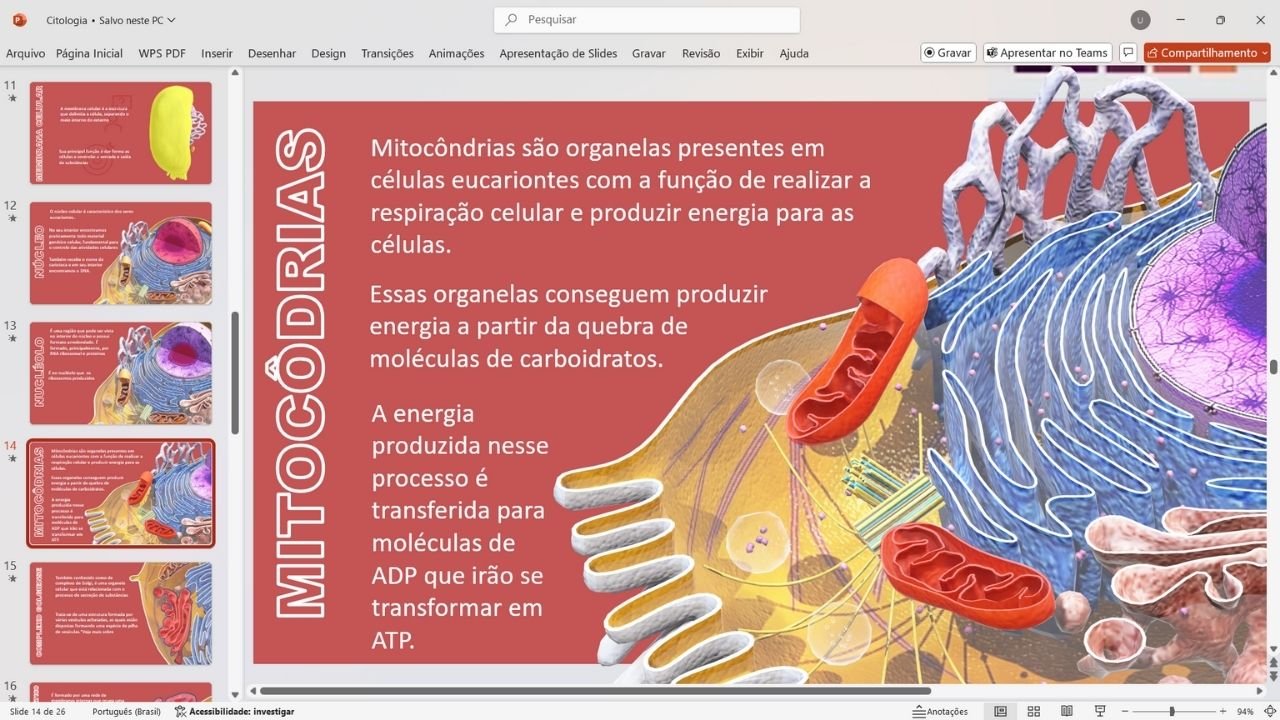 citologia 4 - capa slides de biologia