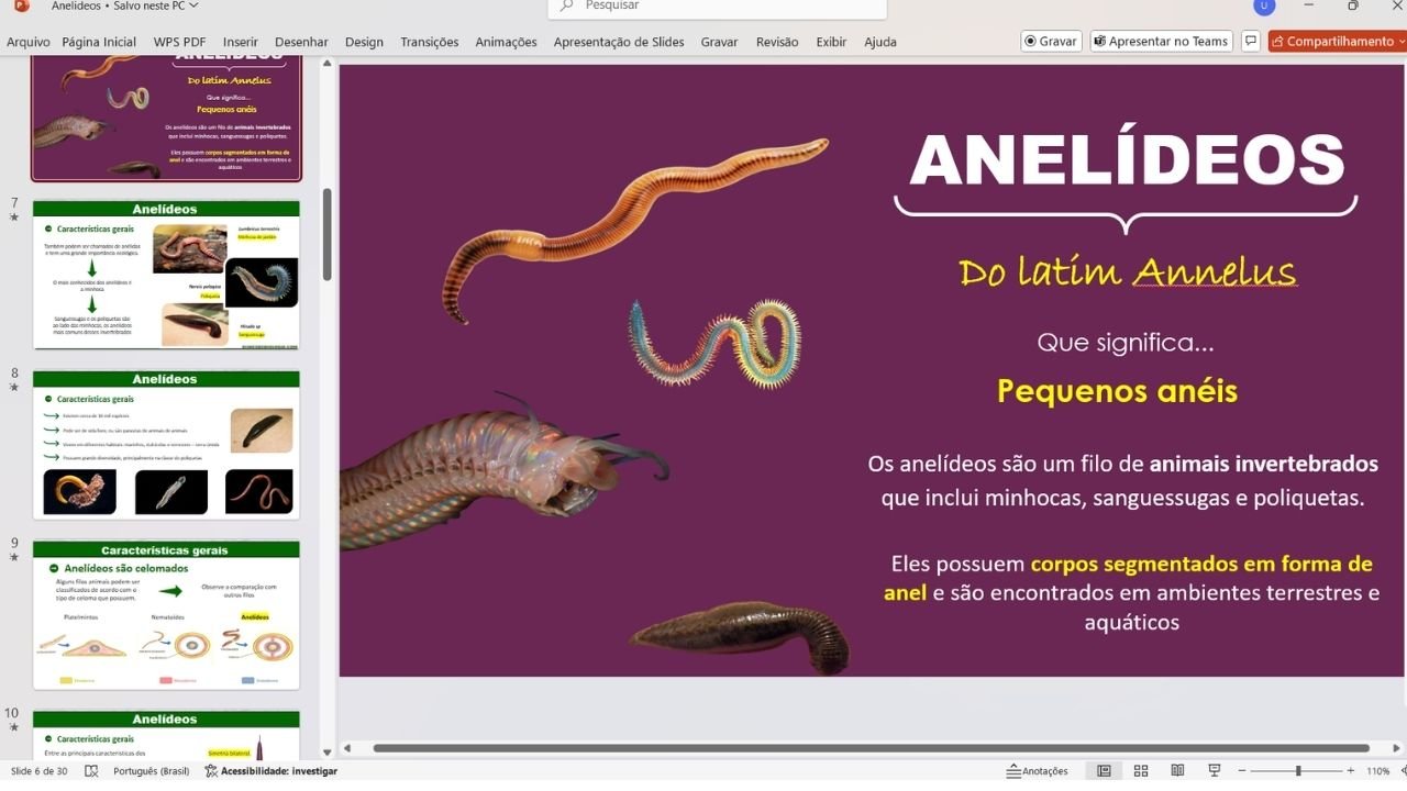 filo dos anelídeos 1 - capa slides de biologia