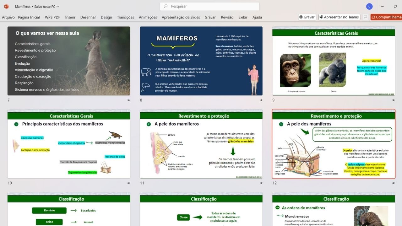 mamíferos 4 - capa slides de biologia