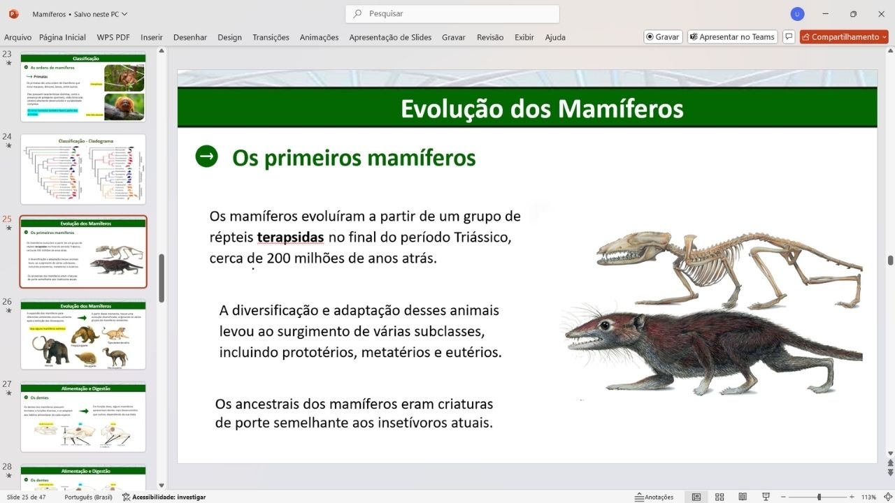 mamíferos - capa slides de biologia