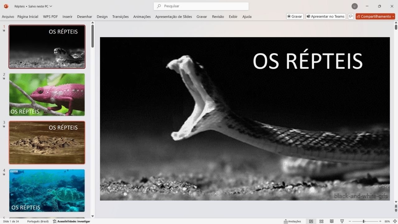 os répteis - capa slides de biologia