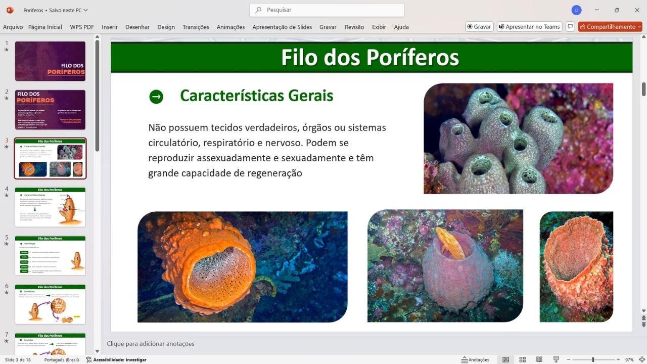 poríferos - capa slides de biologia