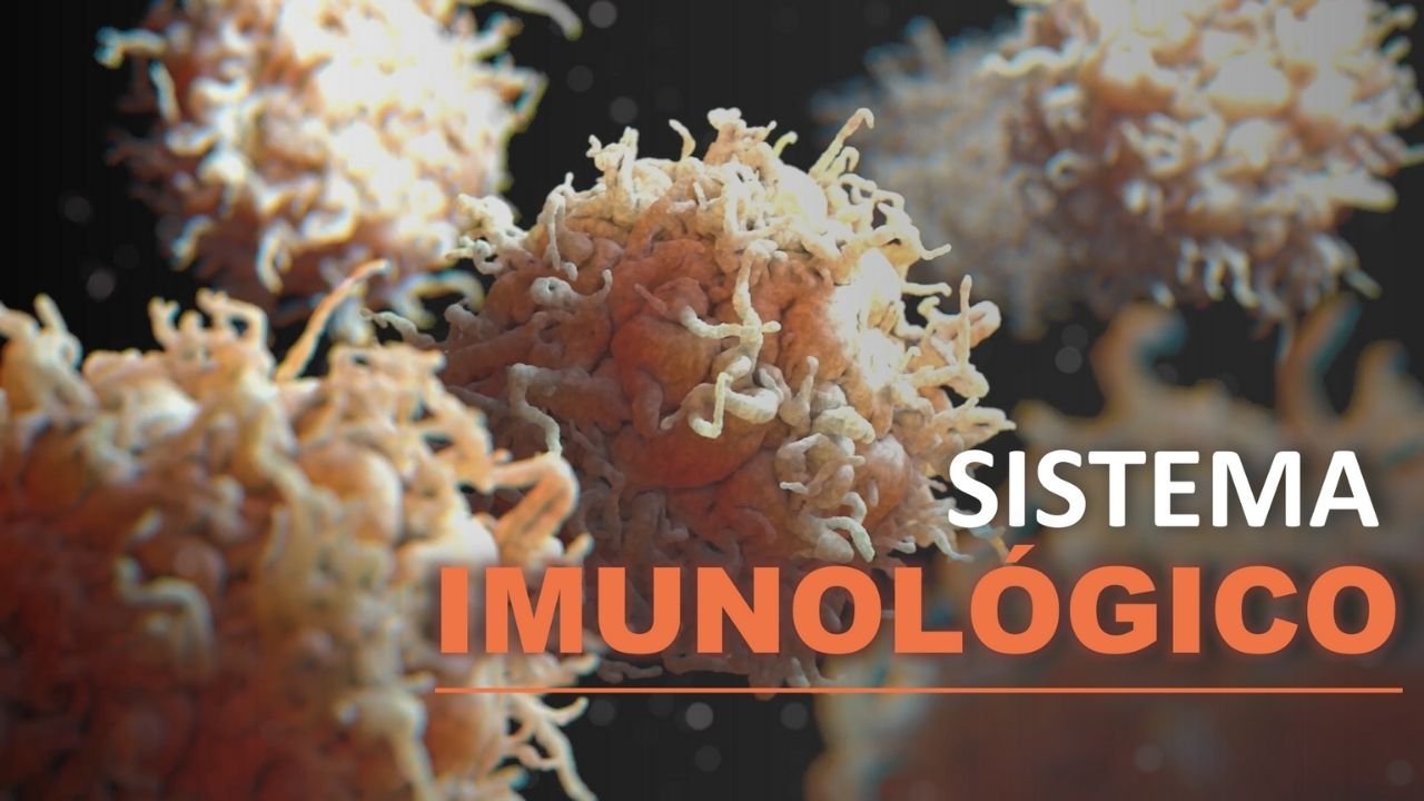 sistema imunológico 2 - capa slides de biologia