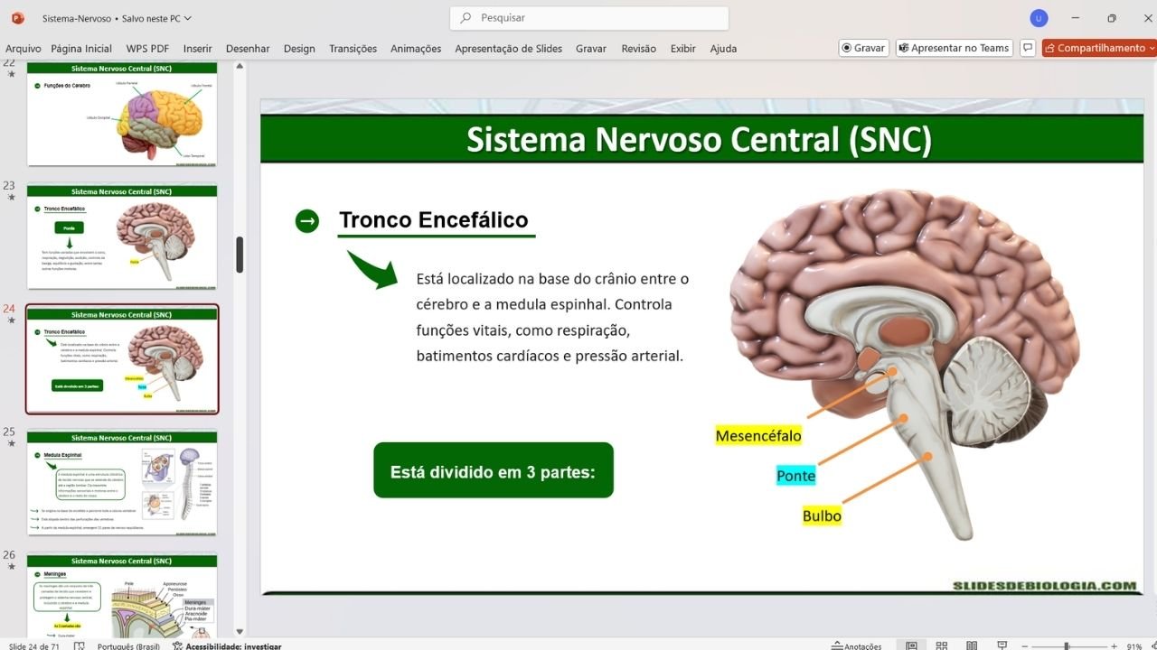 sistema nervoso 2 - capa slides de biologia