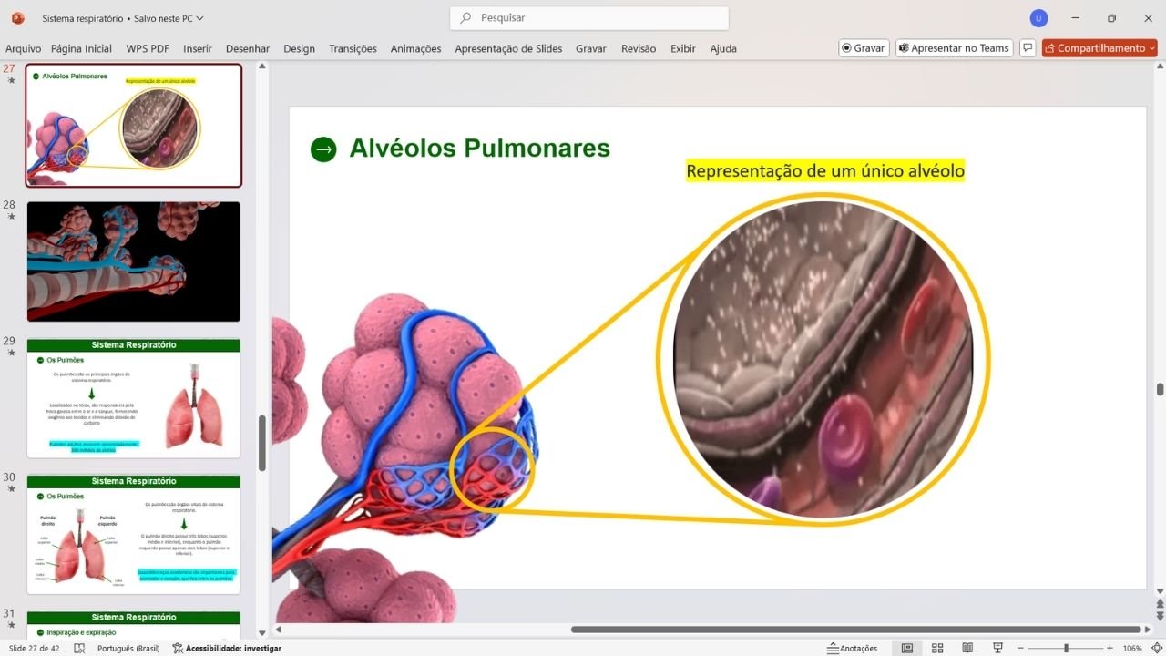sistema respiratório 4 - capa slides de biologia